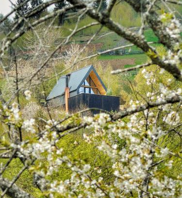 Horea Ski Chalet | Casa Aristocrată - La noi la munte