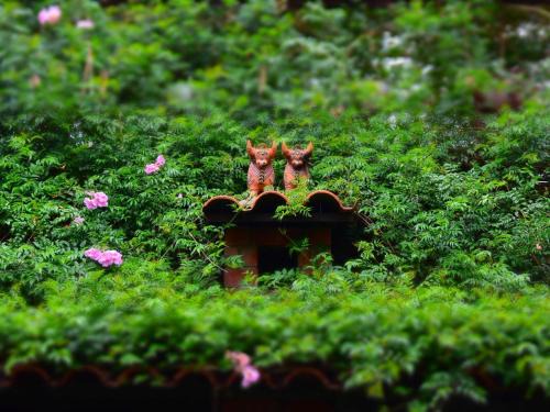 Pisac House | Guest Rated: CASA AUGUSTA with 9/10 Score