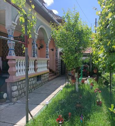 Ocna Mures House | Budget-Friendly Casa Augustina: Child Friendly Retreat