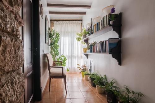 Cati House | Explore Casa Banys L'Avellà: Top-Rated Spa Retreat