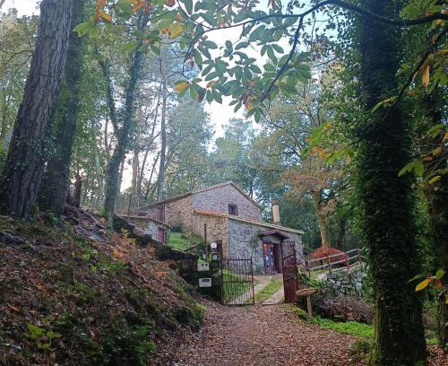 Pereiro de Aguiar House | Pet-Friendly Casa Bodega Sacra: 4-Star Guest Favorite