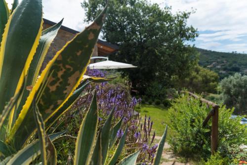 Capaccio Scalo House | Discover Casa Brillocco Castellabate: Guest Rated 9.4/10