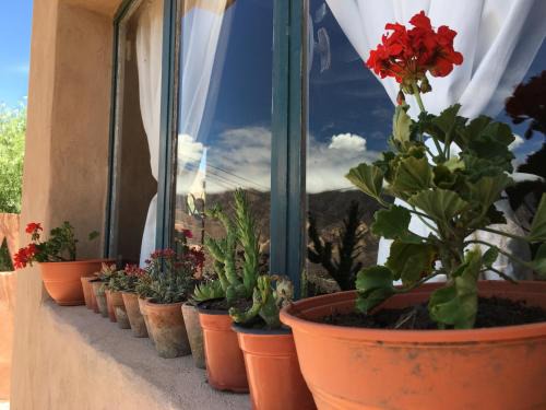 Tilcara House | Discover Casa Buika: Pet-Friendly, Family-Focused Retreat