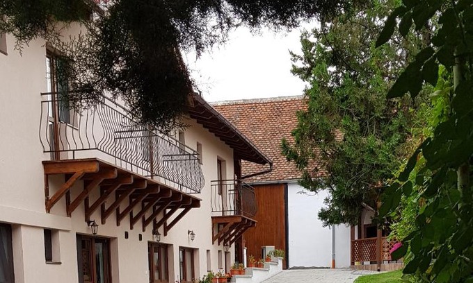 Girbova House | Experience Casa Bunicilor: Child-Friendly with Hot Tub