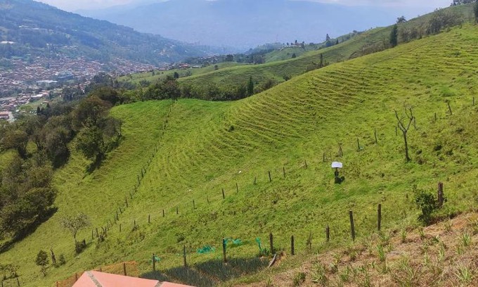 Medellin House | Pet-Friendly Comfort at Casa Campestre la Palma
