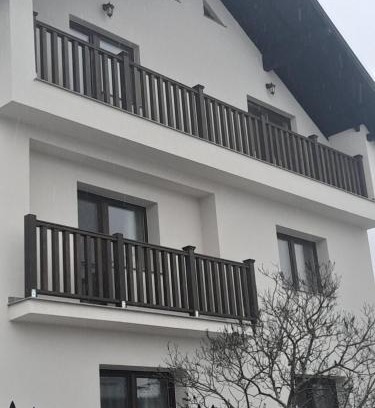 Poienile Izei House | Casa Carmen