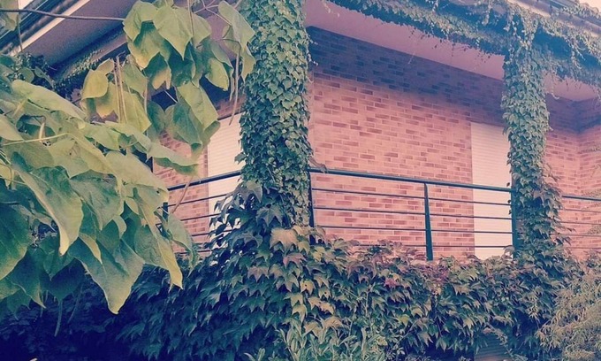 Fragoso Apartment | Discover Casa com Raízes: A Soulful Retreat Awaits