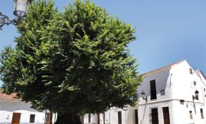 Cortelazor House | Family-Friendly Stay at Casa Coro for Unforgettable Memories