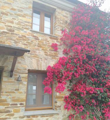 Serantes House | Pet-Friendly Casa Crisanta with a 9.2/10 Guest Rating