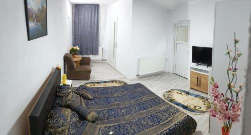 Danes Bed & Breakfast | Budget-Friendly Casa Cristea - Highly Rated and Family-Ready