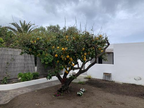 Stromboli Apartment | Family-Friendly Getaway at Casa Cristian Stromboli