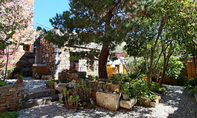 Real de Catorce Apartment | Exceptional Casa Curtos: Pet and Child Friendly Stay