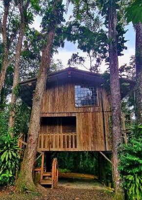 Joinville Other | Casa da Árvore - Experience Culture and Comfort in Jussara