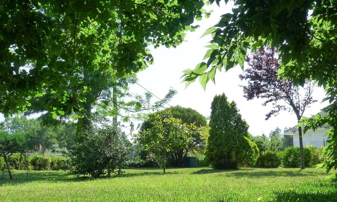 Aveiro Villa | Discover Casa da Balseira: Perfect Getaway near Aveiro