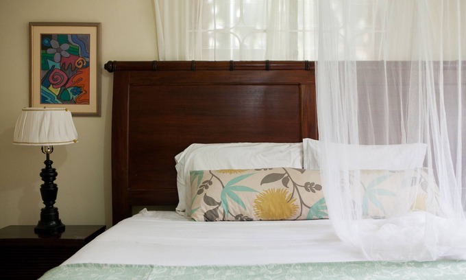 Mandeville Apartment | Inviting Casa da Buena Vista B&B: Ocean Views & Pool Access