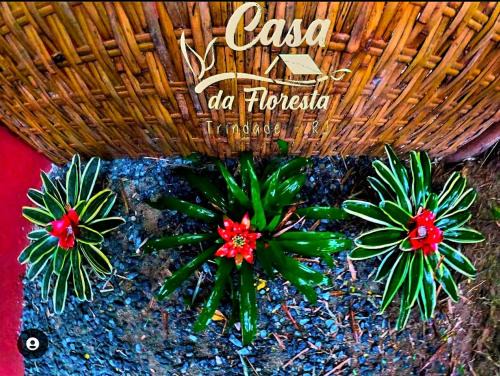 Paraty House | Relax at Casa da Floresta - Family-Friendly Getaway