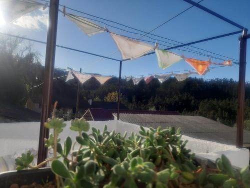 Gois House | Pet-Friendly Casa da Póvoa: Family Comfort Awaits