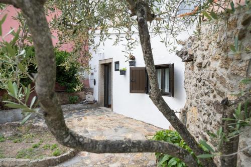 Sendim House | Pet Friendly Casa da Penha: Guest Rated 10/10 for Families