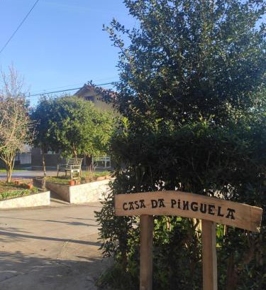 Ordes House | Pet-Friendly Casa da Pinguela on Camino Inglés Awaits You