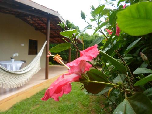 Floresta Velha House | Beautiful Casa da Tetê with Oceanfront Views & High Ratings