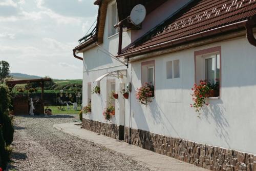 Sura Mica House | Family-Friendly Escape at Casa Dan & Lili - Rated 9.7/10!