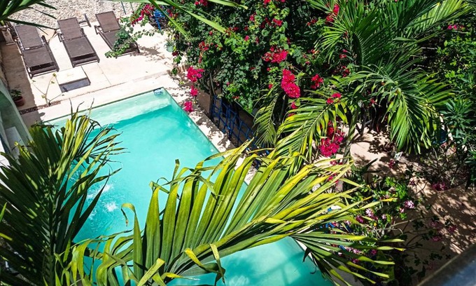 Chichen Itza - Valladolid House | Cozy Casa Daniels Guesthouse with Oceanfront Pool Access