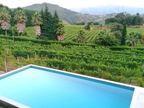 Baiao Apartment | Family-Friendly Retreat at Casa das Feitorias Douro Valley