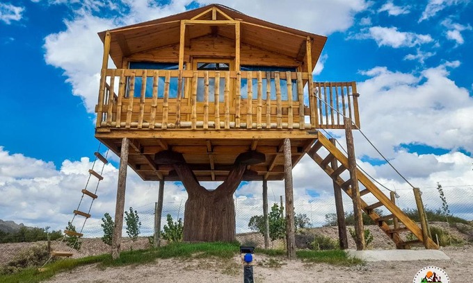 Cuyo House | Eco-Friendly Treehouse Retreat with Pool & Pet Access