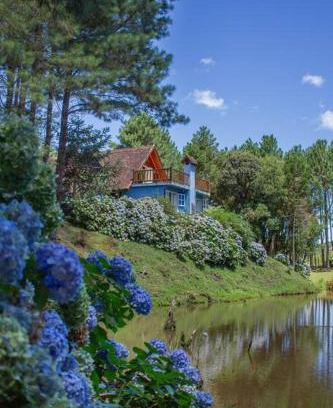Anitapolis Ski Chalet | Pet-Friendly Retreat at Casa de Campo - Guest Rated 10/10