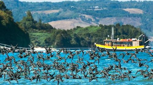 Ancud House | Casa de Campo