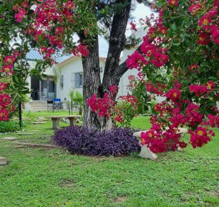 Alta Gracia House | Pet-Friendly Comfort at Casa de Campo - Don Bosco