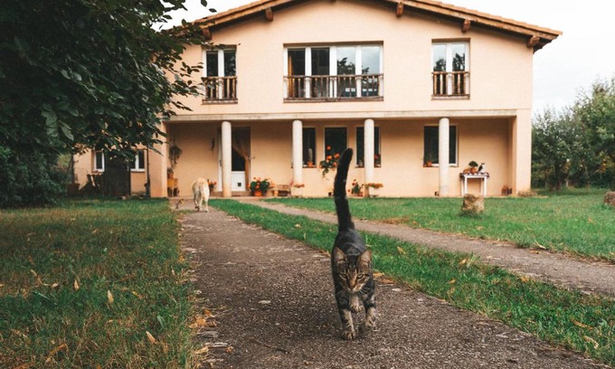 Estollo House | Discover Casa de Campo La Solana: Pet & Child Friendly Stay