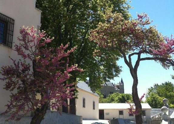 Segovia House | Discover Casa de la Moneda: Family-Friendly Retreat