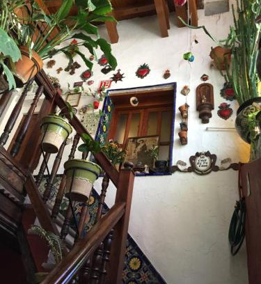 Zona Centro House | Affordable Stay at Casa de Pita with Breakfast Included
