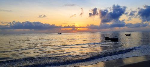 Coroa Vermelha House | Pet-Friendly Casa de Praia with Oceanfront Views and 10/10 Rating