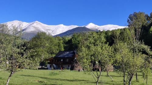 Uricani House | Casa de vacanță Mira