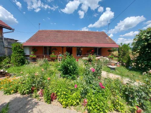 Calbor House | Pet-Friendly Casa de Vacanta in Tara Fagarasului - 9.1/10