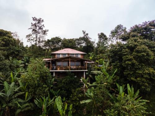 Mindo House | Experience Casa de Vista Alta: Family-Friendly Getaway