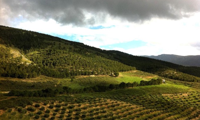 Jaen House | Pet-Friendly Getaway at Casa Dehesa in San Cristóbal