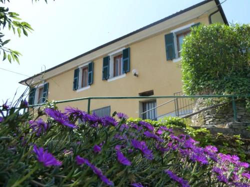 Casanova Lerrone Apartment | Pet-Friendly Retreat at Casa dei Fiori - Rated 8.5/10