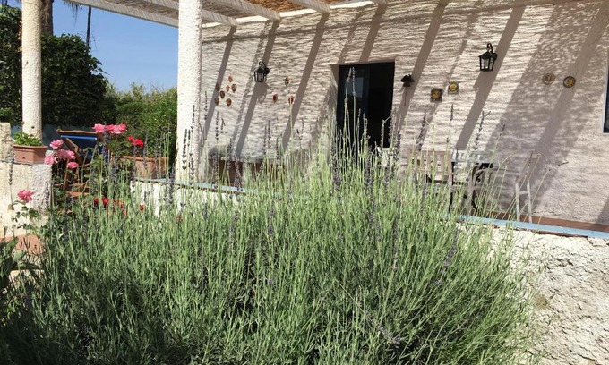 Noto House | Experience Casa dei Limoni: Pet-Friendly Oceanfront Retreat
