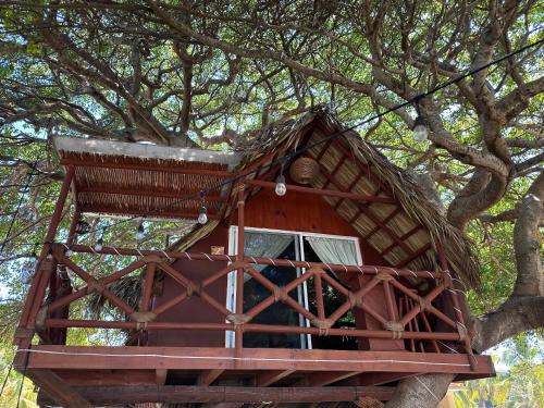 Saladita House | Family-Friendly Stay at Casa del Árbol Barra la Saladita
