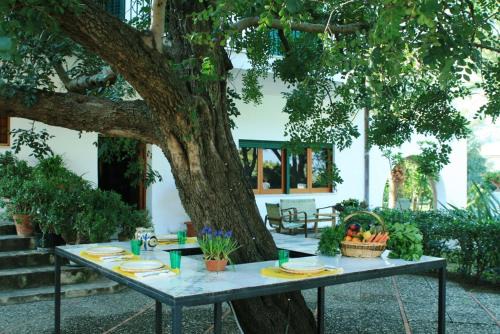 Carini Villa | Casa del Carrubo: Ocean View Getaway with Pool Access