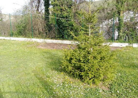 Mioglia Apartment | Family and Pet-Friendly Retreat at Casa del Lupo