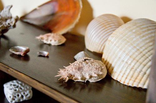 Scillichenti Apartment | Discover Casa del Maestrale: Family-Friendly & Accessible Stay