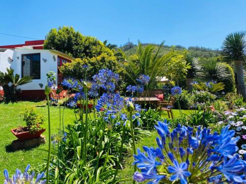 Tegueste Apartment | Family-Friendly Getaway at Casa del Mir - Rated 9.5/10