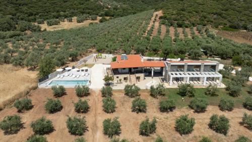 Aristotelis House | Discover Casa Del Olivar: Oceanfront Retreat with Family Amenities