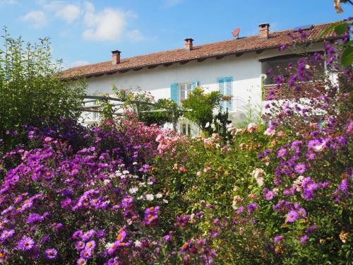 Belveglio Bed & Breakfast | Indulge at Casa del Roseto: Oceanfront Bliss Awaits