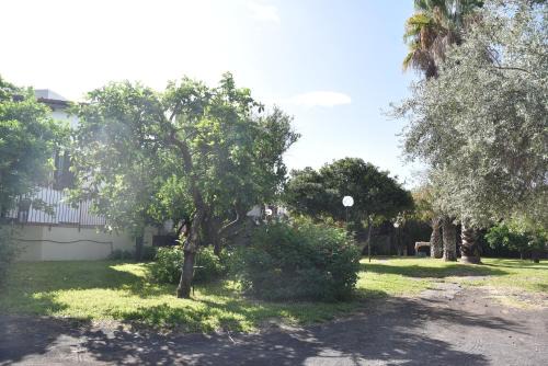 Scillichenti Apartment | Pet-Friendly Retreat at Casa dell'Eucalyptus - Family Welcome