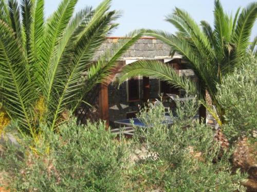 Ustica House | Casa delle Palme: Oceanfront Escape with Pool & Breakfast